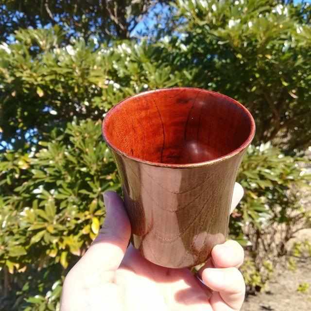 [MUG (CUP)] CUP (2-PIECE SET) | KOBAYASHI BUDDHIST ALTAR | NIIGATA LACQUERWARE