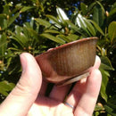 [SAKE CUP] OCHOKO / GUINOMI (SILVER) | KOBAYASHI BUDDHIST ALTAR | NIIGATA LACQUERWARE