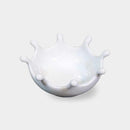 [BOWL] WHITE PORCELAIN AMUSE DROPS | MARUMO KATO POTTERY | MINO WARES