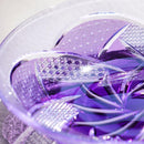 [PLATE] FU RIN | KIRIKO