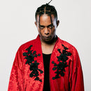 [JACKET KIMONO] LILY OF DA CITY VALLEY | HAORI | VEDUTA