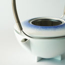 [JAPANESE TEA CUP] 2016/ STUDIO WIEKI SOMERS TEAPOT (SPRAY) | IMARI-ARITA WARES