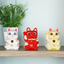 [BECKONING (LUCKY) CAT] MANEKI NEKO FENG SHUI DX RED (M) | EDO ART DOLLS | KAKINUMA DOLLS