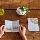 [TOWELS] "REI" 2 BATH TOWEL & 2 FACE TOWELS SET | IMABARI TOWELS