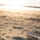 [CHOPSTICKS] WENGE OCTAGON HASHIKURA SEASON01 BEIGE (22.5cm) | MATSUKAN | WAKASA LACQUERED CHOPSTICKS