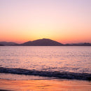 [CHOPSTICKS] WENGE OCTAGON HASHIKURA SEASON01 PINK (22.5cm) | MATSUKAN | WAKASA LACQUERED CHOPSTICKS