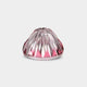 [Sake Cup] Mt Fuji Cup (สีแดงสีแดง) Red Fuji Paulownia Box | Satuma Vidro | Satsuma Cut Glass