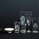 [CHAMPAGNE GLASS] HANABI (FIREWORKS) MAGIC 2 PIECES | MARUMO TAKAGI