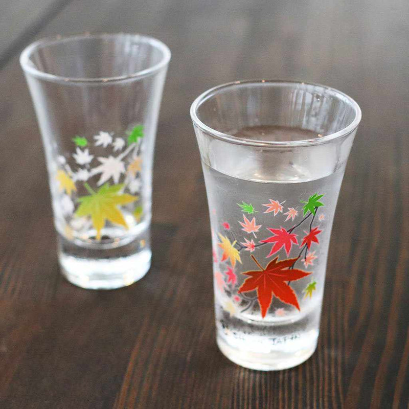 [GLASS] AUTUMN LEAVES MAGIC 2 PIECES | MARUMO TAKAGI