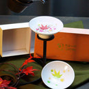 [SAKE CUP] AUTUMN LEAVES MAGIC 2 PIECES | MINO WARES | MARUMO TAKAGI
