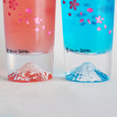 [TUMBLER] CHERRY BLOSSOMS & MT FUJI (1 PIECE) | COLOR & DESIGN CHANGE | MARUMO TAKAGI