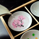 [SAKE CUP] 12 PIECES SET SHUN JAPAN JAPANESE TRADITION MAGIC | MINO WARES | MARUMO TAKAGI