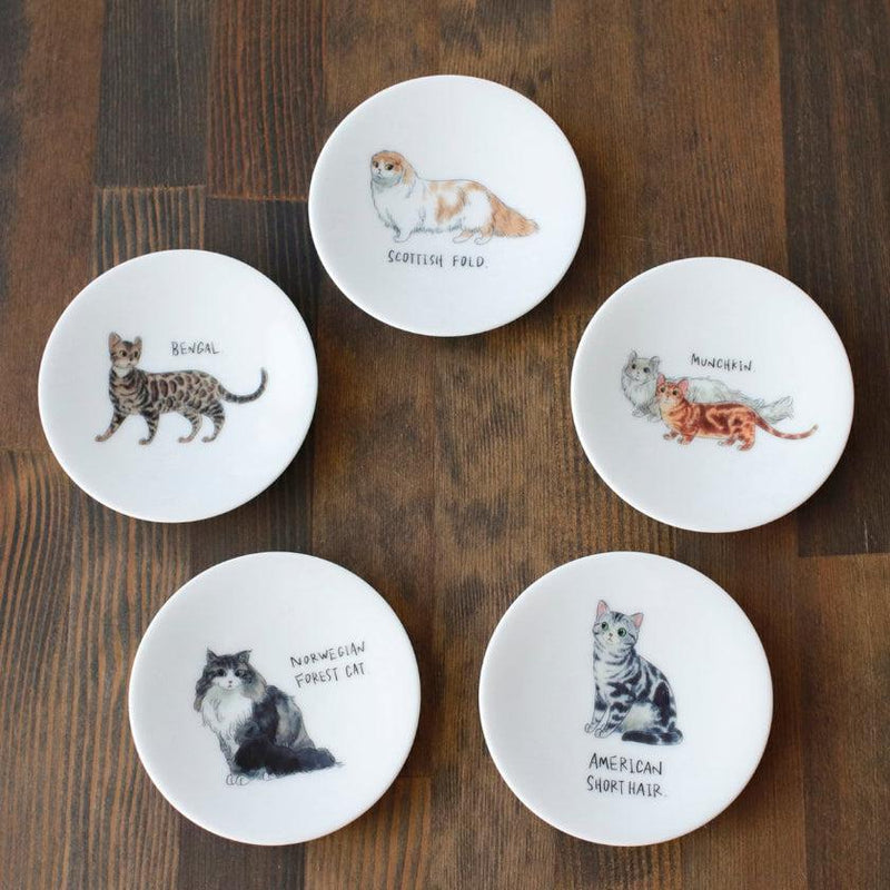 [SMALL DISH (PLATE)] RELAXED CAT SET OF 5 | MINO WARES | MARUMO TAKAGI