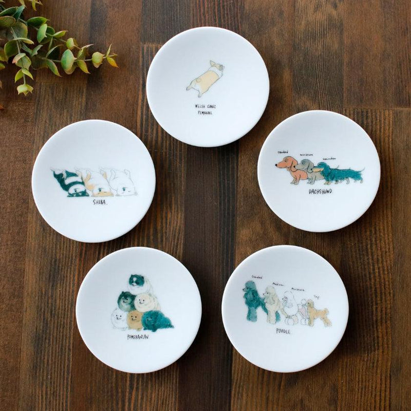 [SMALL DISH (PLATE)] RELAXED DOGS SET OF 5 | MINO WARES | MARUMO TAKAGI