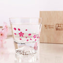 [ROCK GLASS] COLOR & DESIGN CHANGE CHERRY BLOSSOMS & MT. FUJI (1 PIECE) | MARUMO TAKAGI