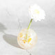 [แจกัน] Cocochi Orange | สตูดิโอแก้ว Izumo | กระจกเป่า (ผลิต 2 สัปดาห์หลังคำสั่ง)
