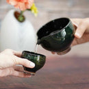 [SAKE BOTTLE & CUP SET] 3PIECES SAI GREEN | GLASS STUDIO IZUMO | BLOWN GLASS (2 weeks production after order)