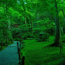 [LEATHER CASE] SHRINK CALM-GREEN SOFT SHRINK COWHIDE LEATHER (SPECIAL ORDER COLOR) | LEATHER WORK | RAKUKEI