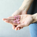 [EARRINGS] TINT PANSY DOUBLE CHERRY BLOSSOMS (S) PINK | KYOTO YUZEN DYEING | MORPHOSPHERE