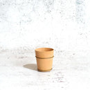 [SAKE CUP] YOSHINO CEDAR GUINOMI SAKE CUP (S) | KYO SASHIMONO (JOINERY)