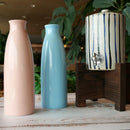 [TUMBLER / WATER BOTTLE] IONBOTTLE CANDY (PINK) | SHIGARAKI WARE