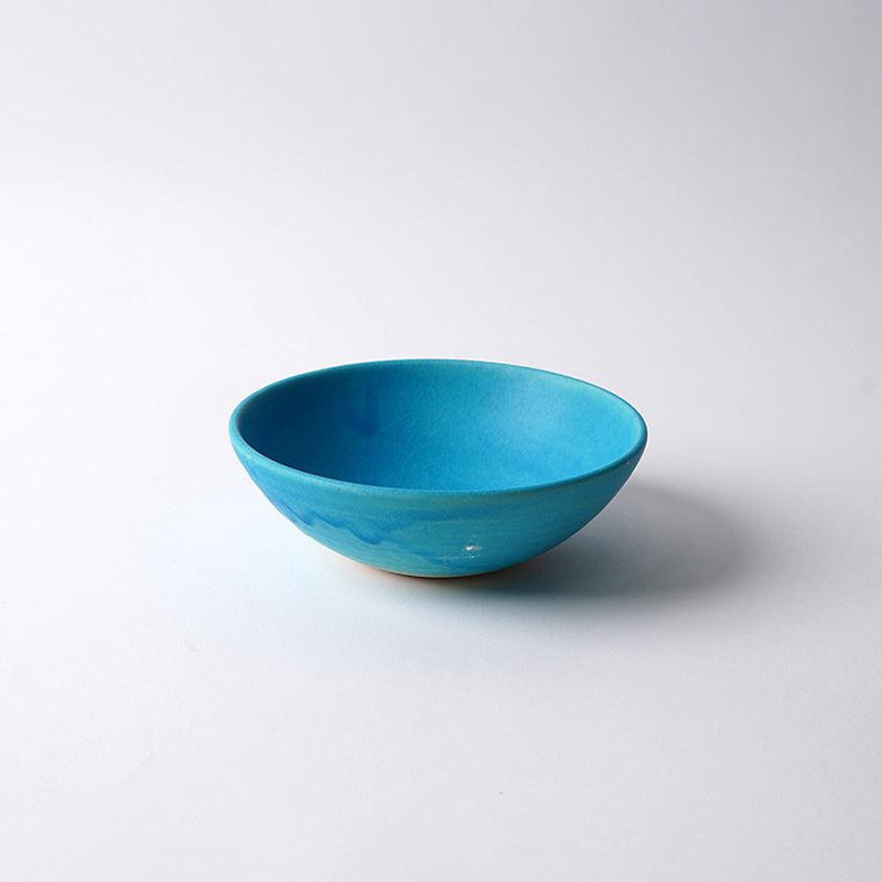 [Dish Set] Yamasho Touki Toruco Set | Shigaraki Ware