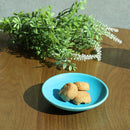 [SMALL DISH (PLATE)] TORUCO MINI | SHIGARAKI WARE