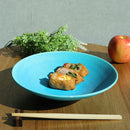 [BIG BOWL] TORUCO | SHIGARAKI WARE