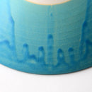 [BIG BOWL] TORUCO | SHIGARAKI WARE