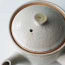 [JAPANESE TEA POT] WHITE | SHIGARAKI WARE