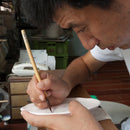 [CHOPSTICKS REST] HISHI TURTLE | MIKAWACHI WARE | HIRADOSHOUZAN