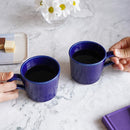 [MUG 2 PIECES SET] INDIGO | MORI TOKI | OTANI WARE