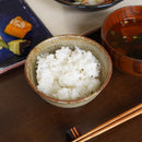 BRUSH MARKS BOWL (S) |OTANI WARE