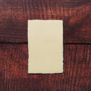 [POST CARDS] BAMBOO GRASS BLUE (1PIECE) | KARAGEN | KARAKAMI