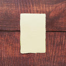 [POST CARDS] PINE TREE GREEN (3PIECES) | KARAGEN | KARAKAMI