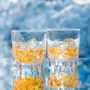 [ROCKS GLASS] WHISKEY GLASS B | CRYSTAL GLASS | KAGAMI CRYSTAL