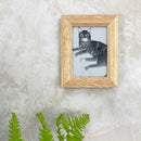 [ART] CAT 2 | KAGA YUZEN | J.Flavor * HIROYUKI KIKUTA