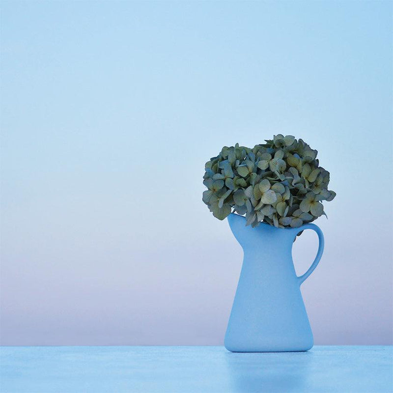 [水罐]蒼白的水罐（淺藍色）| Hasami商品| Saikai Toki