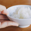 [BOWL] RICE BOWL FOR THE FIRST TIME FROM SAGA | ARITA WARE | AERU