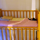 [FUTON] HAND STUFFED COTTON BEDDING SET FROM KYOTO | HAND-PADDED COTTON FUTON | AERU