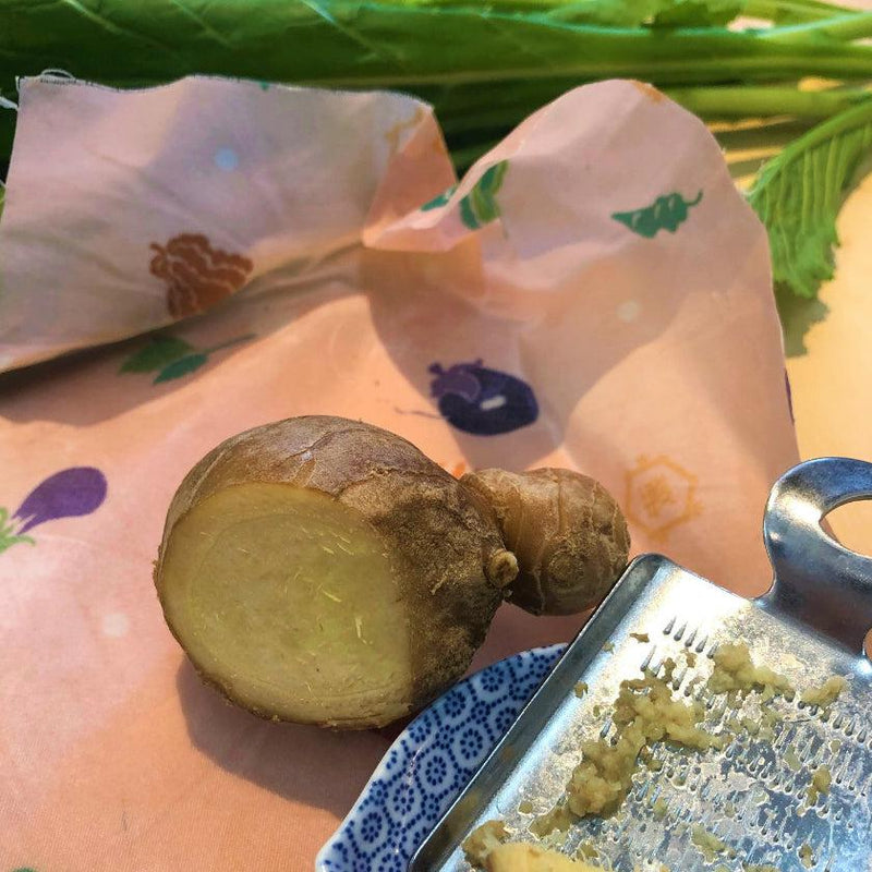 [BEESWAX WRAP] KYOTO VEGETABLES | HANDMADE KITS | TAKEDA SENZO STORE