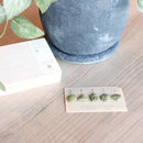 [INCENSE] MATCHA INCENSE 5 PCS. (LUCKY CHARMS) | INCENSE| INCENSE KITCHEN