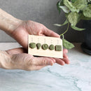 [INCENSE] MATCHA INCENSE 5 PCS. (TEA CEREMONY) | INCENSE| INCENSE KITCHEN