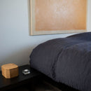 [PILE OF SALT] KAMI NO SHIO (SALT) | KAMI NO SHIO