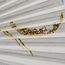 [HAND FAN] CRESCENT MOON (WHITE) GOLD LEAF | KARAKAMI (JAPANESE PAPER)｜KEIBIFUGETSU