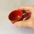 [SAKE CUP] IRO-IRO | LACQUERWARE | ISUKE