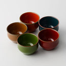 [SAKE CUP] IRO-IRO | LACQUERWARE | ISUKE