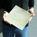 [PLATE] SQUARE 100 GOLD | NISHIJIN TEXTILES| EMURA SHOUTEN