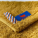 Please choose your favorite color.