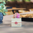 [PRESERVED FLOWER] CHAWAKA MARI SAKURA | UJI TEA AND FLORAL DESIGN| CHAWAKA KYOTO UJI